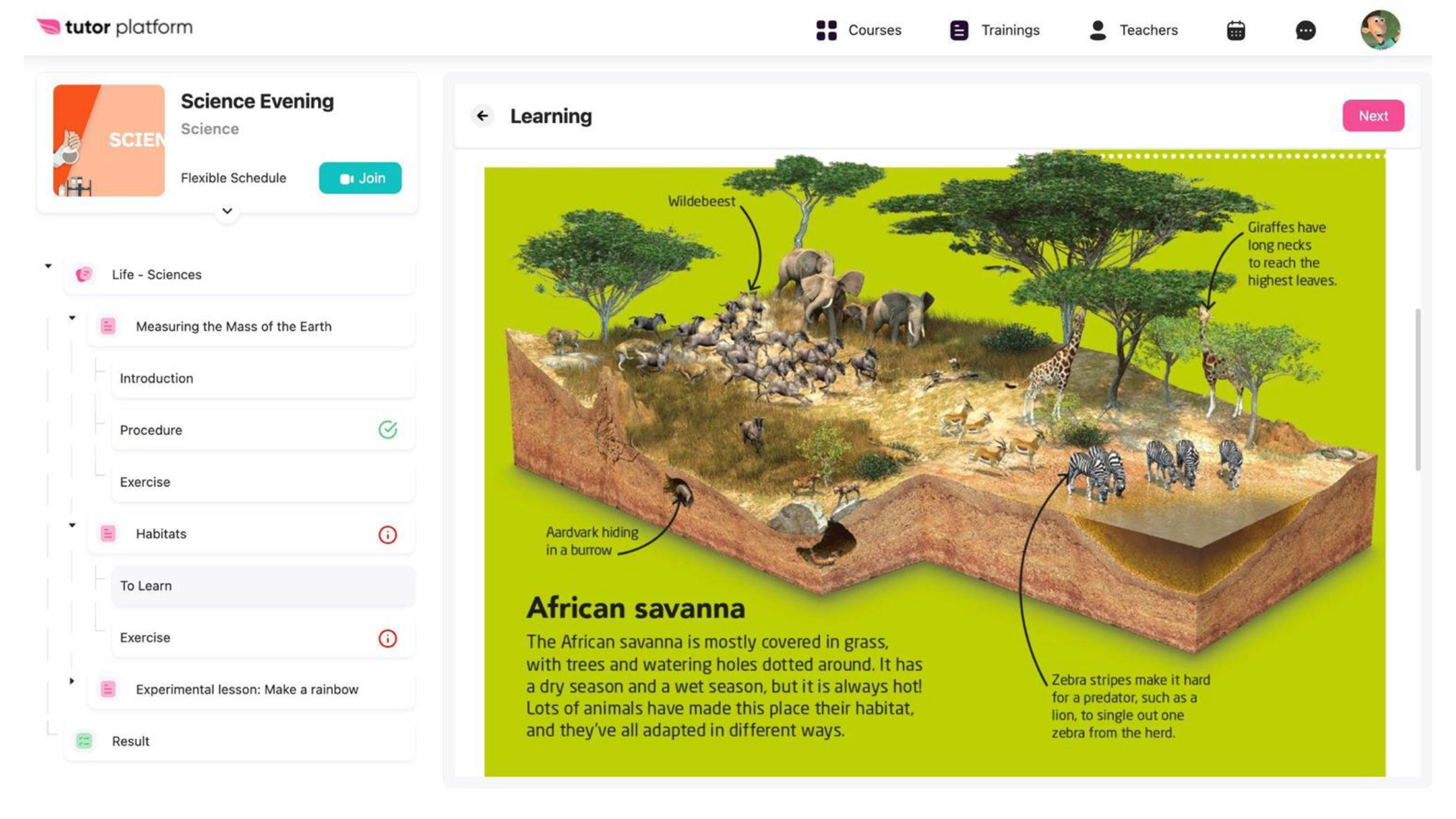 Student Portal Demo View / Tutor Platform LMS